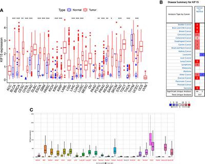 Integrative Pan-Cancer Analysis of KIF15 Reveals Its Diagnosis and Prognosis Value in Nasopharyngeal Carcinoma